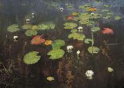 Water lilies